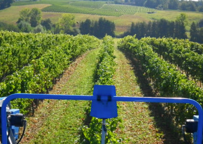 vinification-2